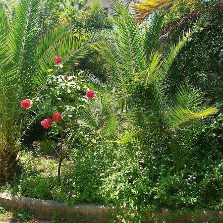 트레카세 Quiet House Garden Naples-Pompei-Sorrento 빌라 외부 사진