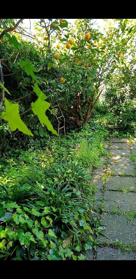 트레카세 Quiet House Garden Naples-Pompei-Sorrento 빌라 외부 사진